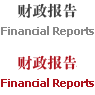 财政报告